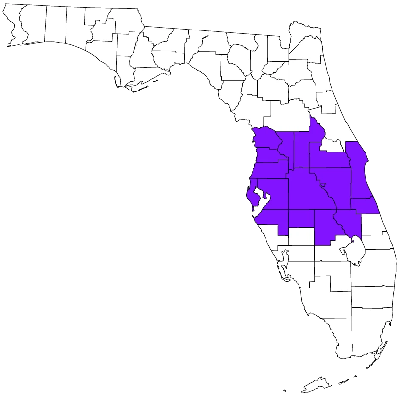 Map of Florida with the Central Florida service region shaded in purple.